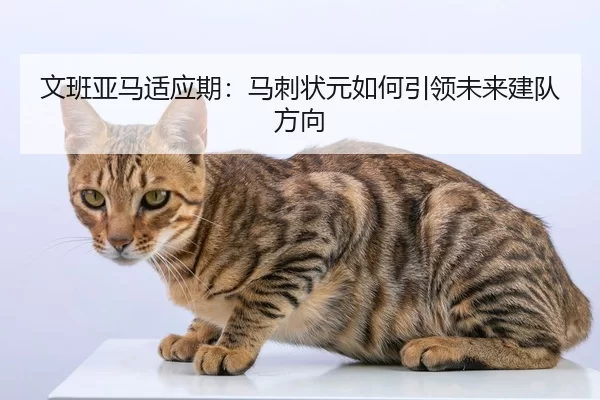 文班亚马适应期：马刺状元如何引领未来建队方向