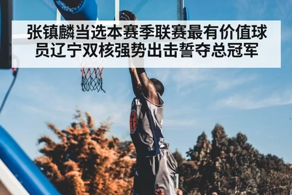 张镇麟当选本赛季联赛最有价值球员辽宁双核强势出击誓夺总冠军